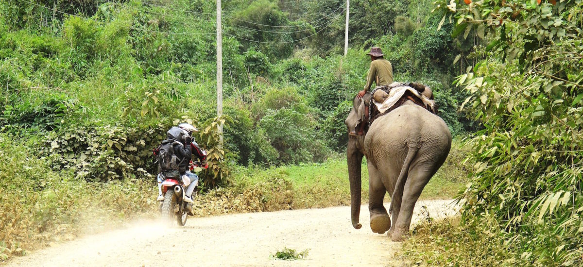 A moto au Laos, des spécialistes proposent l’aventure à la carte