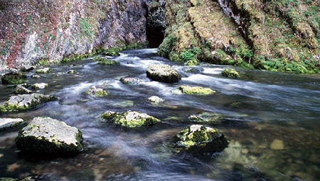 La source du Doubs