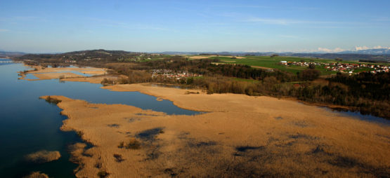 Grande Cariçaie et Centre Pro Natura de Champittet