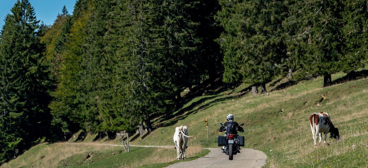 ActuMoto organise une balade guidée à moto d’une journée