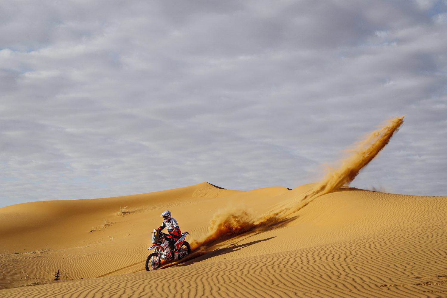 Ross branch dakar 2020