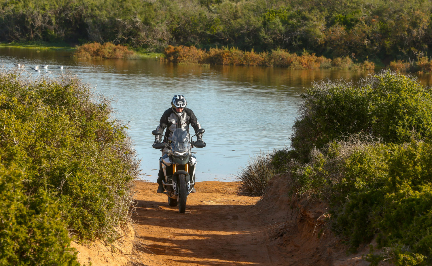 Triumph Tiger 900 Actumoto.ch Mathias Deshusses