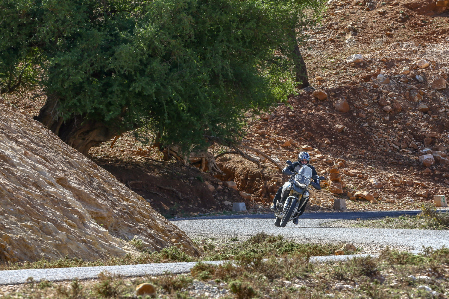 Essai Triumph Tiger 900