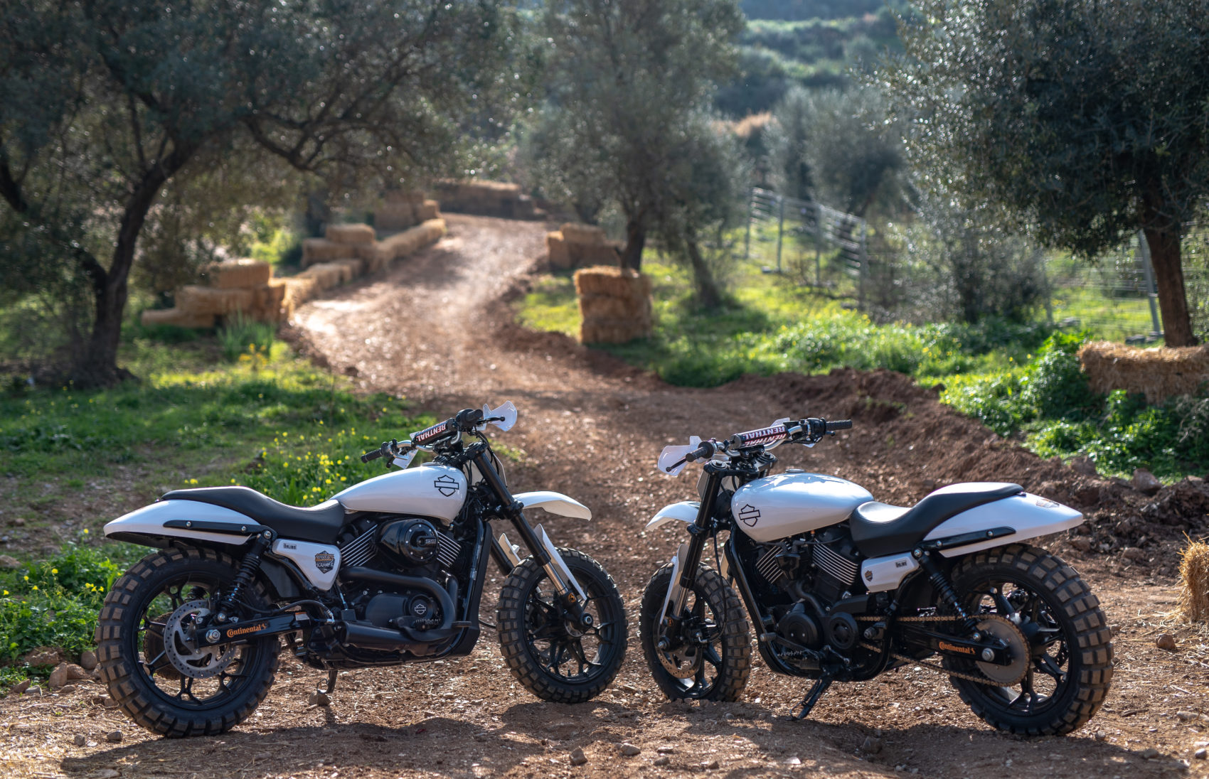 HarleyDavidsonTripleSF Actu Moto