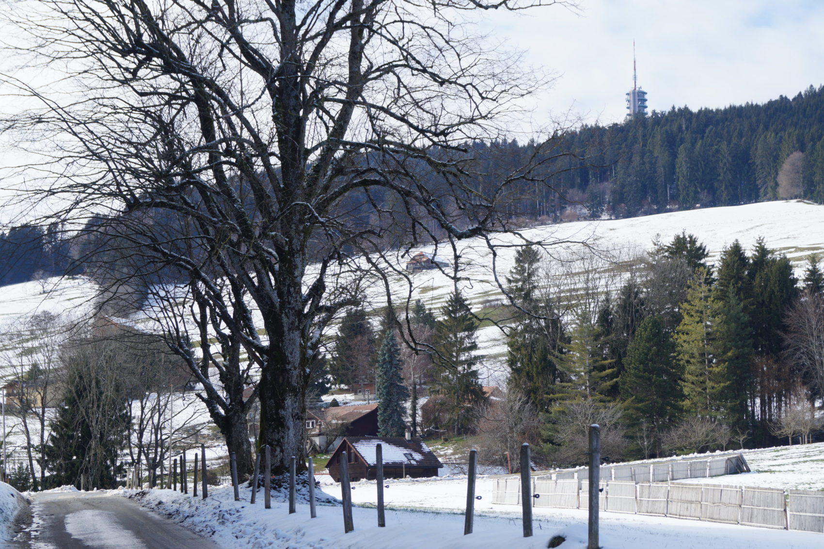 Tour du Mont Gibloux