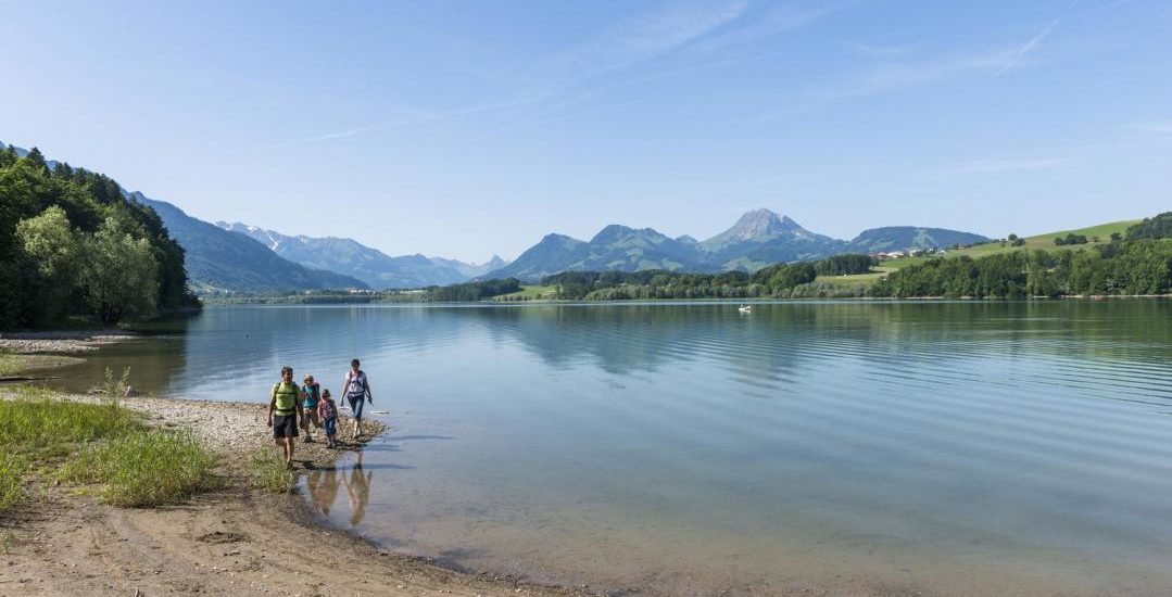 Lac de Gruyère