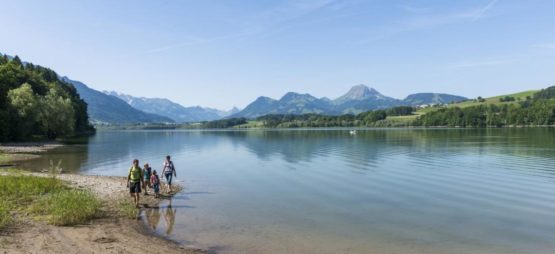 Lac de Gruyère