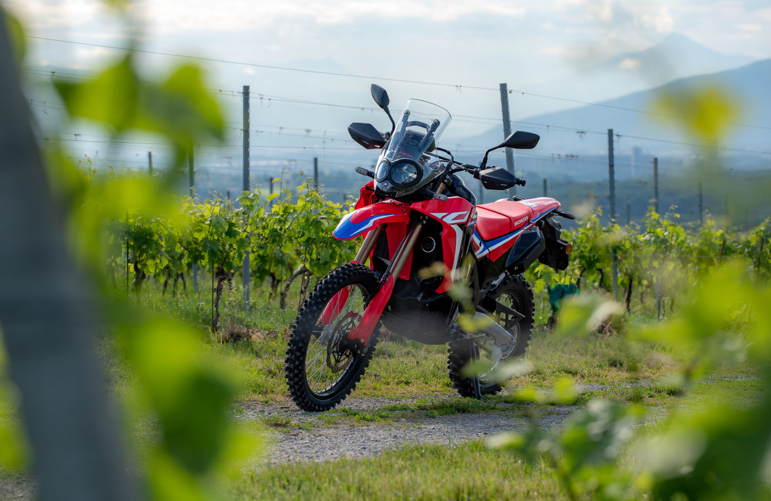 Essai la Honda CRF 300 Rally dans le terrain Actu Moto