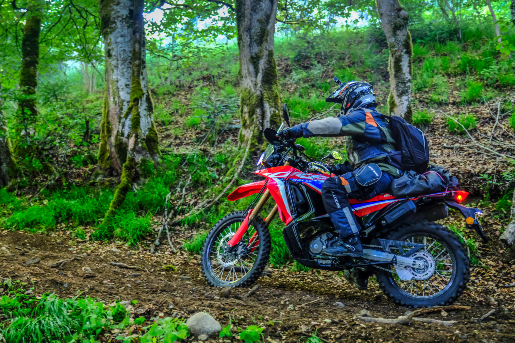 Essai la Honda CRF 300 Rally dans le terrain Actu Moto