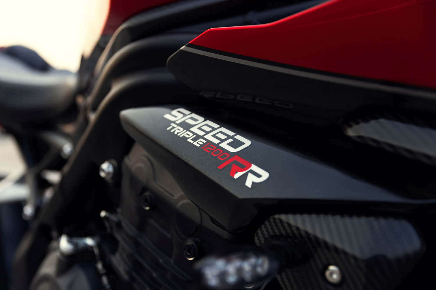 Speed Triple 1200