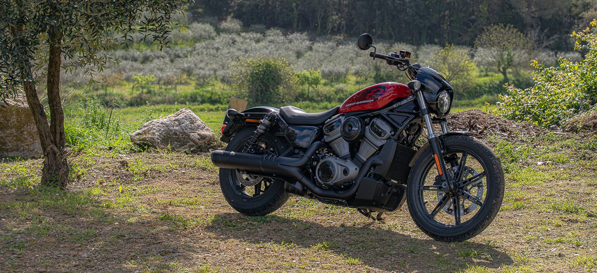 Nouveau, un Sportster Nightster 975 chez Harley-Davidson