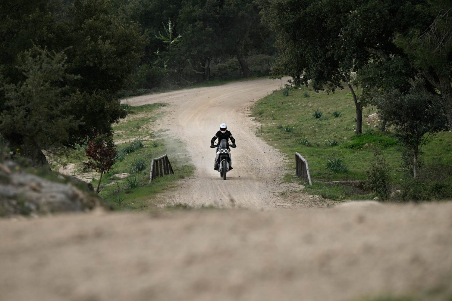 Ducati DesertX