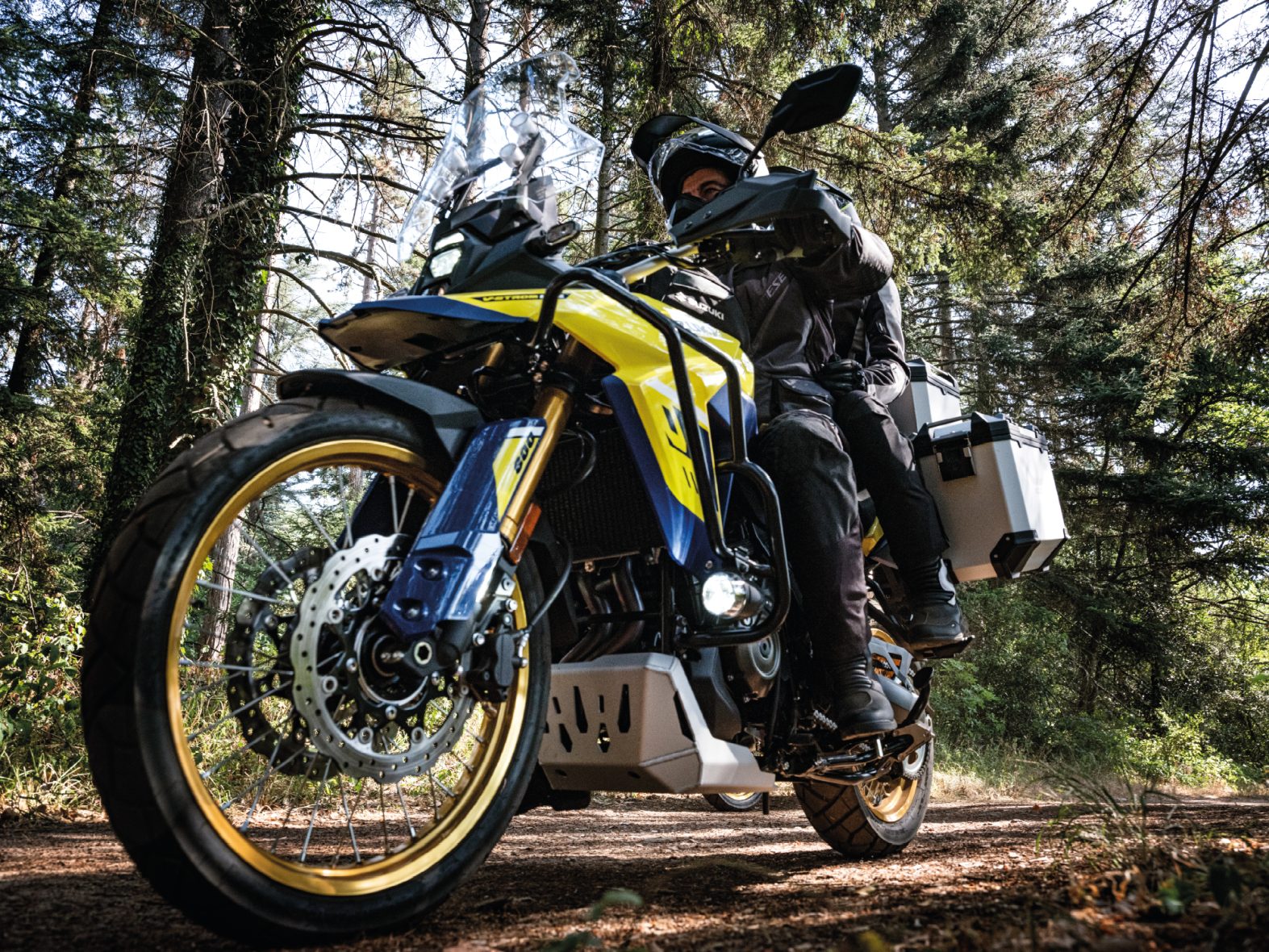 V-Strom 800