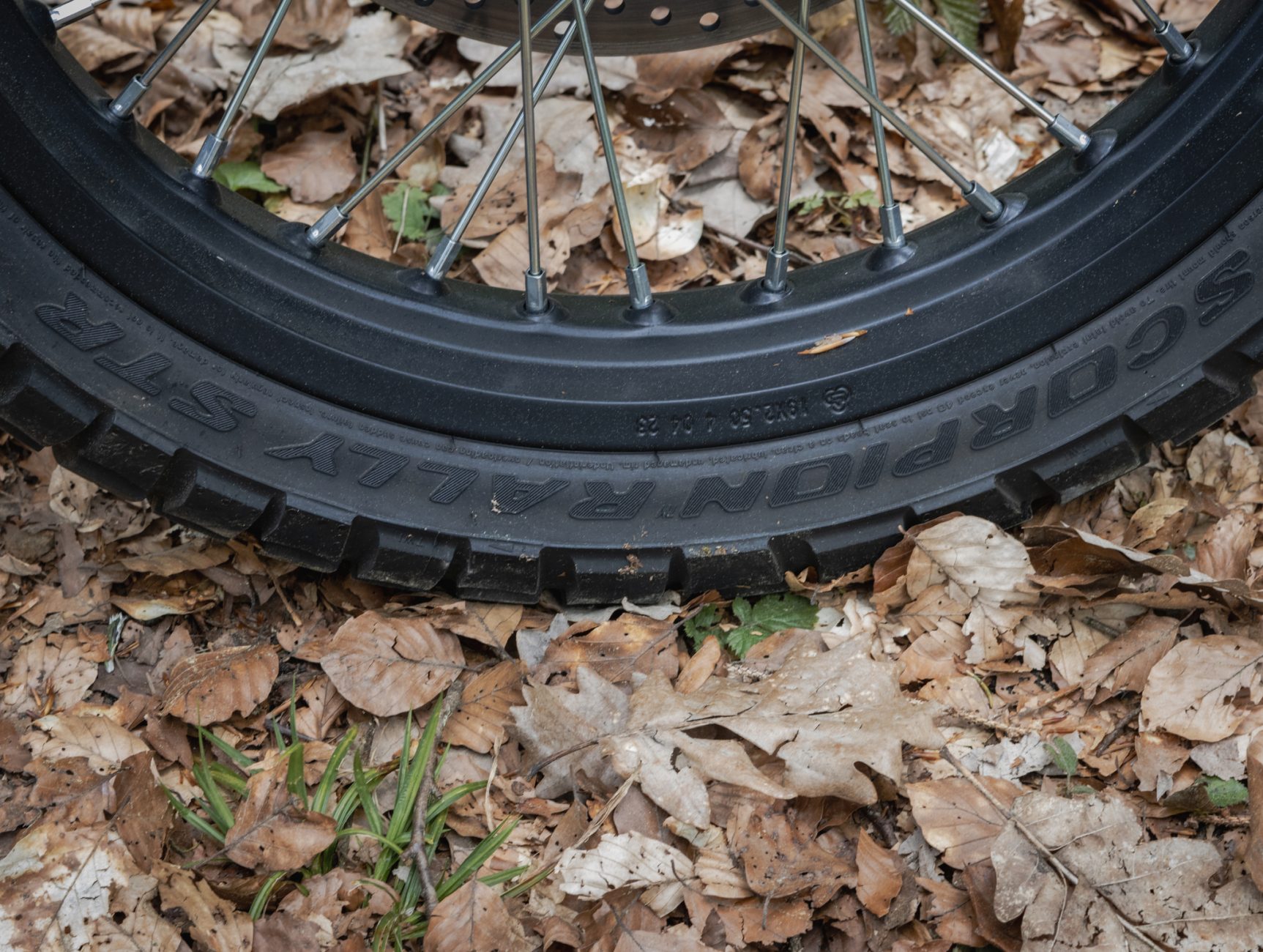 Fantic Pirelli