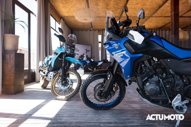 Yamaha Ténéré 700 (et Ténéré 700 Rally) 2025